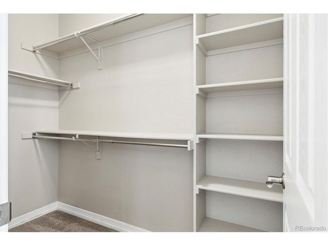 10064 Bluffmont Ct, Lone Tree, CO 80124