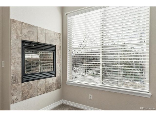 10064 Bluffmont Ct, Lone Tree, CO 80124