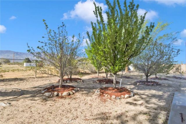 10298 Custer Avenue, Lucerne Valley, CA 92356