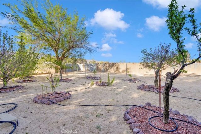 10298 Custer Avenue, Lucerne Valley, CA 92356