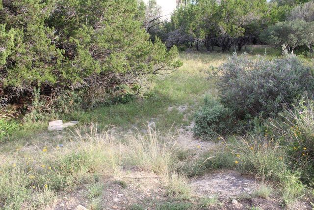 738 Deckhouse DR, Point Venture, TX 78645