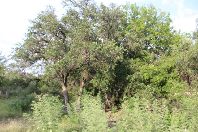738 Deckhouse DR, Point Venture, TX 78645