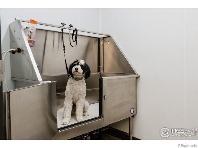 401 Linden Street 3-336, Fort Collins, CO 80524