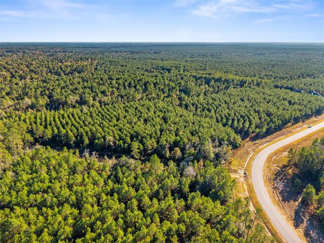 12684 Oak Barrel Road, Willis, TX 77378