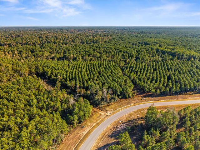 12684 Oak Barrel Road, Willis, TX 77378