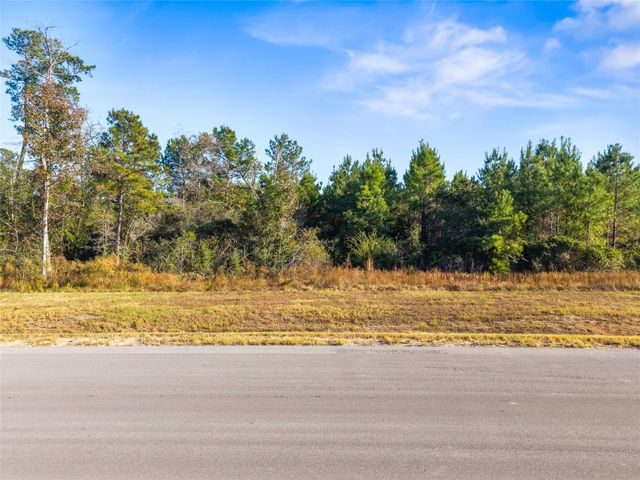 12684 Oak Barrel Road, Willis, TX 77378