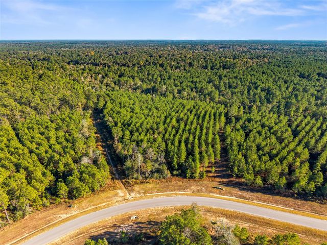 12684 Oak Barrel Road, Willis, TX 77378