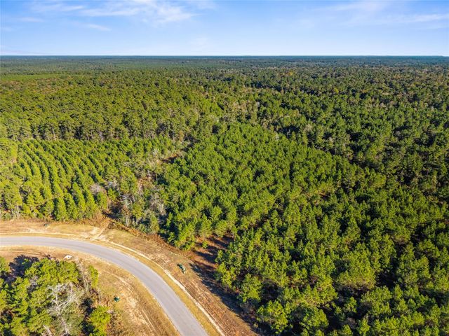 12684 Oak Barrel Road, Willis, TX 77378