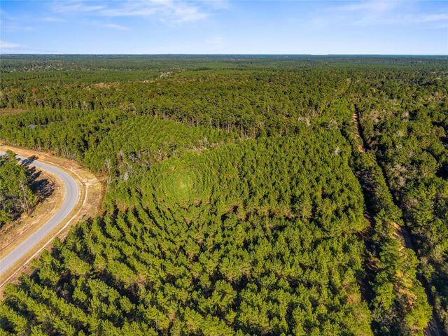 12684 Oak Barrel Road, Willis, TX 77378