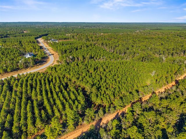 12684 Oak Barrel Road, Willis, TX 77378