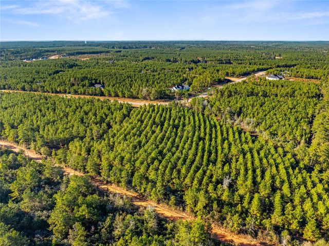 12684 Oak Barrel Road, Willis, TX 77378