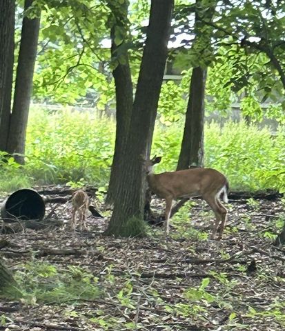 3879 Shamrock Drive, Lapeer, MI 48446