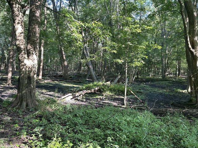 3879 Shamrock Drive, Lapeer, MI 48446