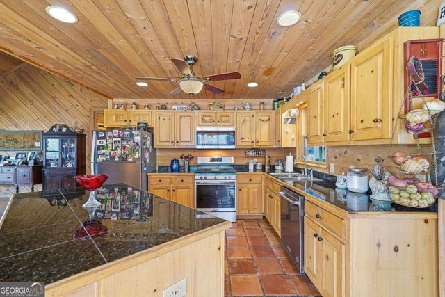 156 Peter Knob Road, Blue Ridge, GA 30513
