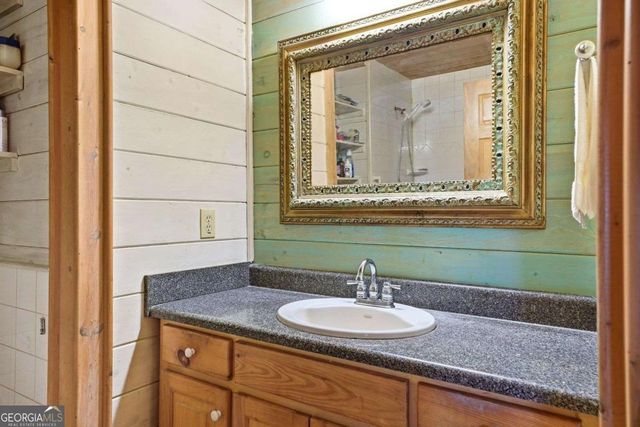 156 Peter Knob Road, Blue Ridge, GA 30513