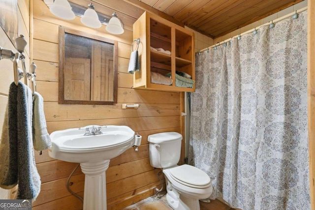 156 Peter Knob Road, Blue Ridge, GA 30513