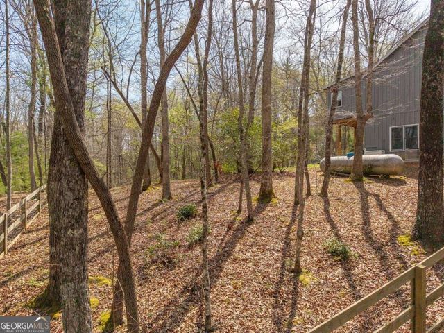156 Peter Knob Road, Blue Ridge, GA 30513
