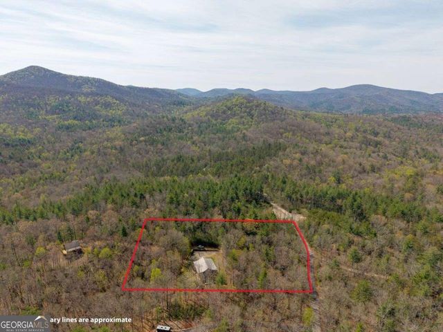 156 Peter Knob Road, Blue Ridge, GA 30513