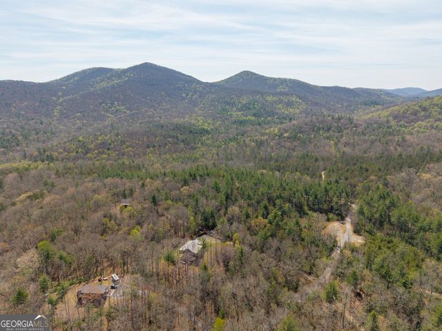 156 Peter Knob Road, Blue Ridge, GA 30513