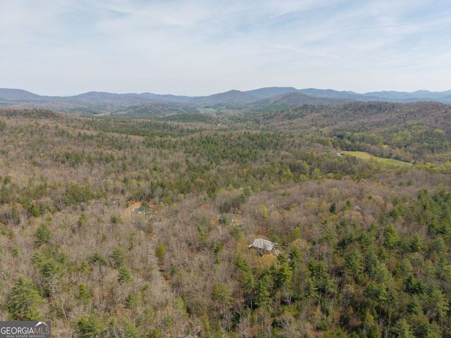 156 Peter Knob Road, Blue Ridge, GA 30513