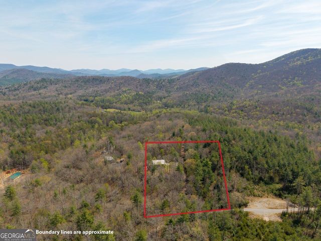 156 Peter Knob Road, Blue Ridge, GA 30513