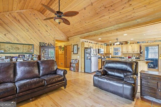 156 Peter Knob Road, Blue Ridge, GA 30513