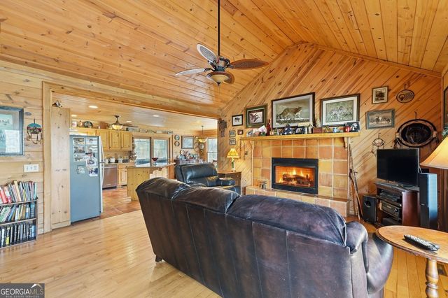 156 Peter Knob Road, Blue Ridge, GA 30513