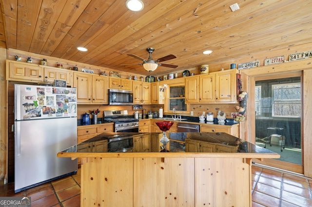 156 Peter Knob Road, Blue Ridge, GA 30513