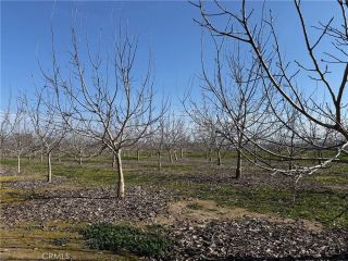 0 Mcfadden, Chico, CA 95928