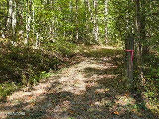 Tuskegee Drive, Oak Ridge, TN 37830