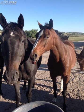 0 E Cherry Creek Road, Larkspur, CO 80118