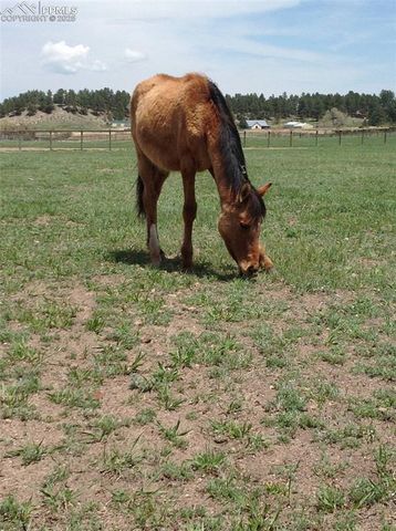 0 E Cherry Creek Road, Larkspur, CO 80118