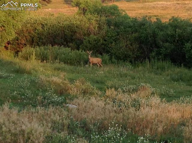 0 E Cherry Creek Road, Larkspur, CO 80118