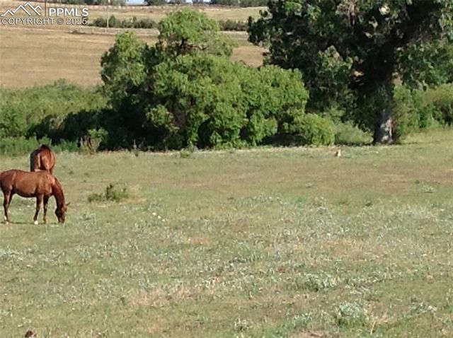 0 E Cherry Creek Road, Larkspur, CO 80118