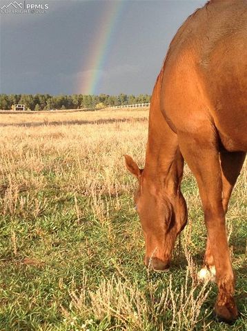 0 E Cherry Creek Road, Larkspur, CO 80118