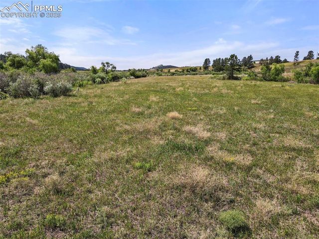 0 E Cherry Creek Road, Larkspur, CO 80118