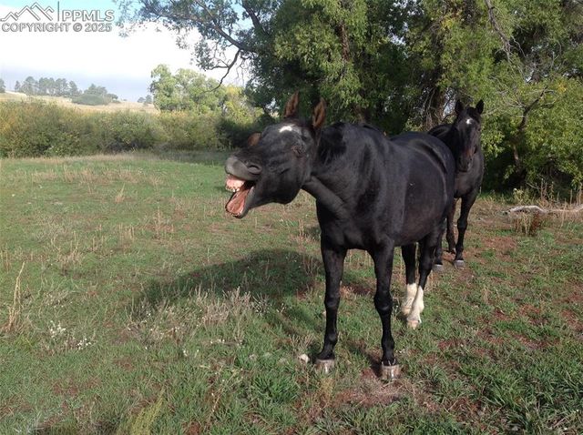 0 E Cherry Creek Road, Larkspur, CO 80118