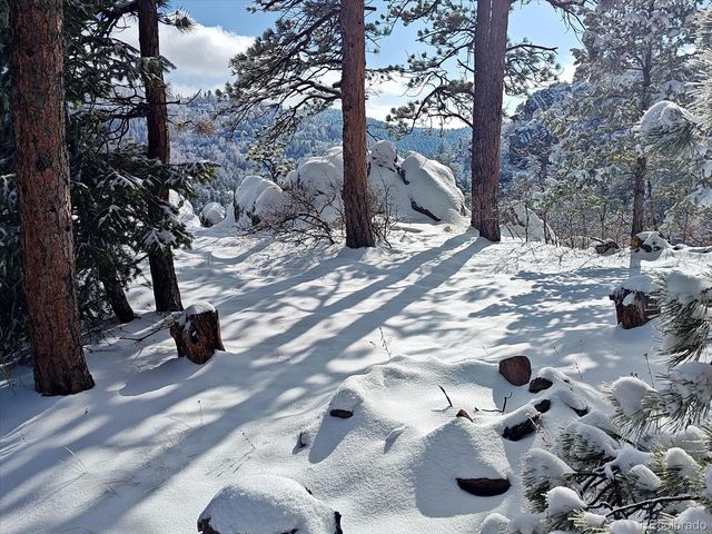 9648 Yegge Road, Morrison, CO 80465