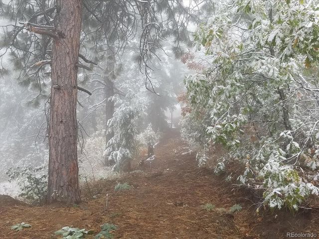 9648 Yegge Road, Morrison, CO 80465