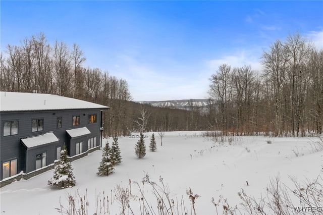 8 Trail Heights Poverty Hill Road, Ellicottville, NY 14731