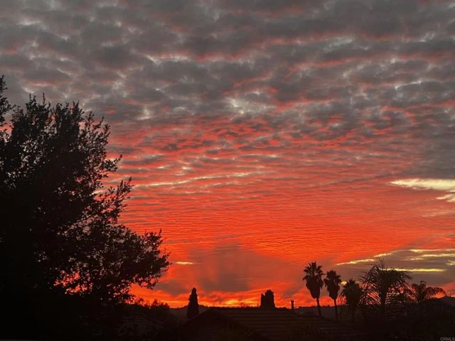 161 Willow Meadow Place, Escondido, CA 92027