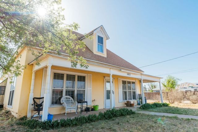 603 N 11th St, Alpine, TX 79830