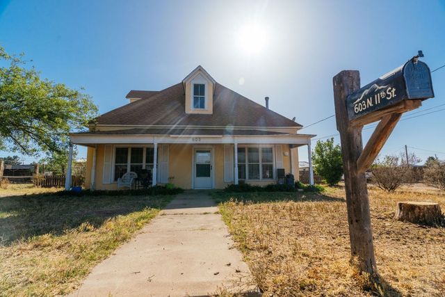 603 N 11th St, Alpine, TX 79830