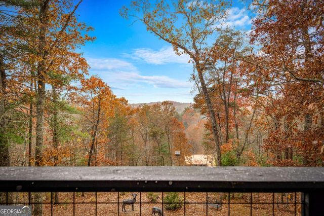 105 Snowy Road, Morganton, GA 30560