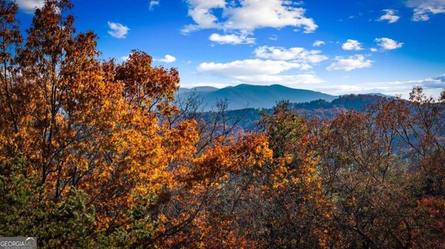 105 Snowy Road, Morganton, GA 30560