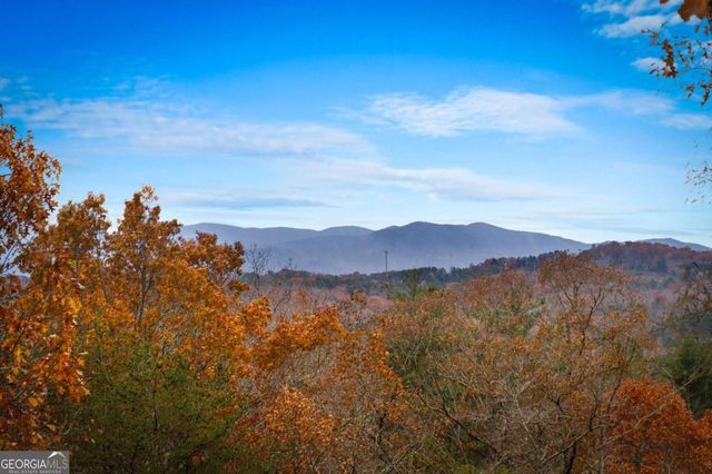 105 Snowy Road, Morganton, GA 30560