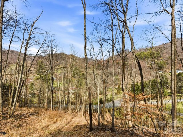 98 Harmony Hill Lane, Mars Hill, NC 28754