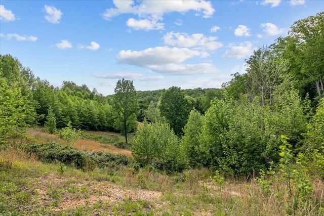 0 Blacks Bluff, Stewart, TN 37175