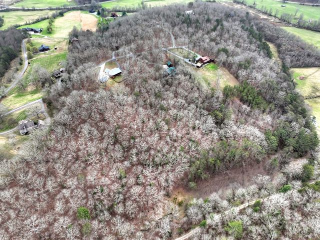 260 Bailey Farm Drive, Mineral Bluff, GA 30559