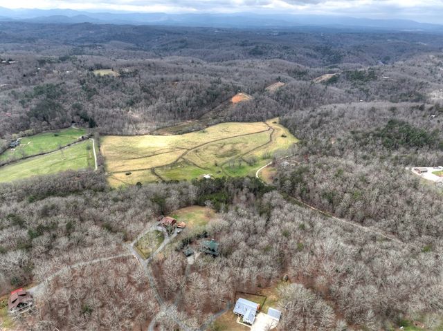 260 Bailey Farm Drive, Mineral Bluff, GA 30559